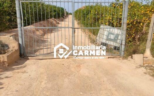 ¡OPORTUNIDAD ÚNICA! TERRENO CON LIMONEROS EN PRODUCCIÓN